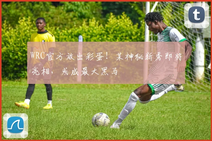 WRC官方放出彩蛋!某神秘新秀即将亮相,或成最大黑马