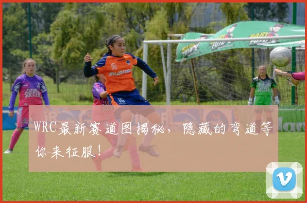 WRC最新赛道图揭秘，隐藏的弯道等你来征服！
