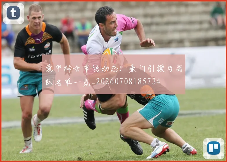 意甲转会市场动态：豪门引援与离队名单一览_20260708185734