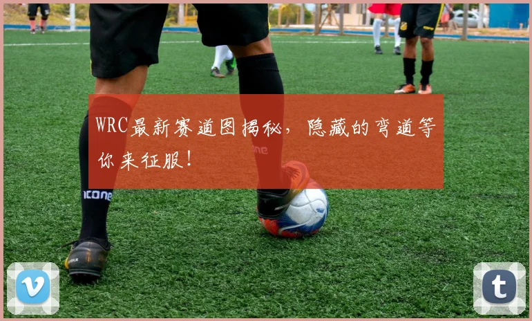 WRC最新赛道图揭秘,隐藏的弯道等你来征服!