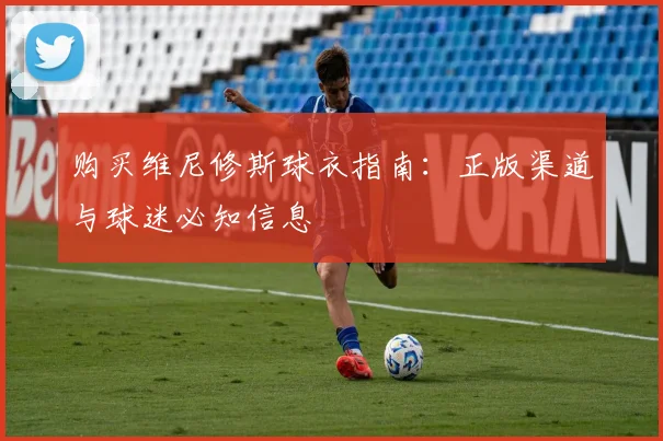 购买维尼修斯球衣指南：正版渠道与球迷必知信息
